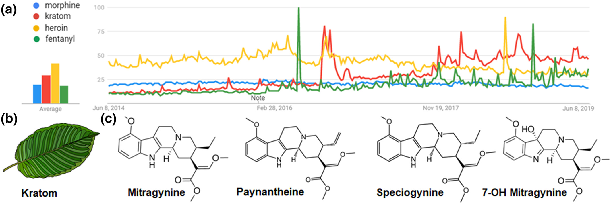 G protein‐biased kratom‐alkaloids and synthetic carfentanil‐amide opioids as potential treatments for alcohol use disorder - Gutridge - 2020 - British Journal of Pharmacology - Wiley Online Library