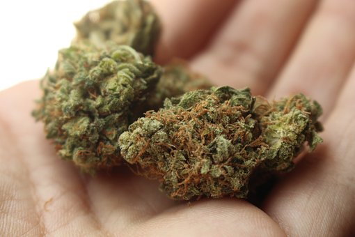 Weed, Cannabis, Marijuana, Stoner, Pot