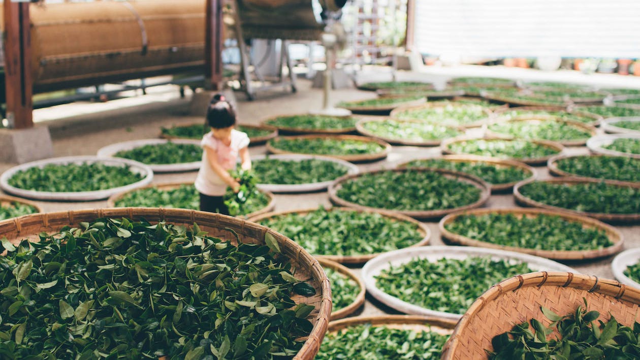can make kratom tea with other substances