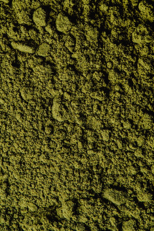 kratom tree , prefer kratom powder , powder or plant material , kratom concentrate
