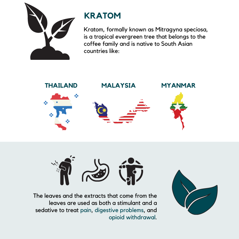 Is it Possible to Get High on Kratom? - Florida Recovery Group